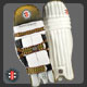 Gray Nicolls Powerbow Test Cricket Batting Pads