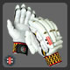 Gray Nicolls Powerbow Test Cricket Gloves