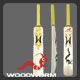 Woodworm Premier Torch Cricket Bat